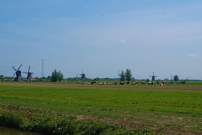 Kinderdijk Area Cycling Tour - Who This Tour Suits Best (And Who Might Skip It)