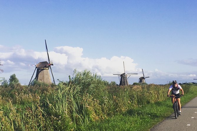 Kinderdijk Area Cycling Tour - Should You Book This Kinderdijk Area Cycling Tour?