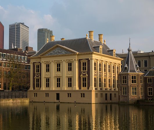 Kinderdijk, The Hague, Mauritshuis Private Tour from Amsterdam - Final call, should you book this Kinderdijk and The Hague day?
