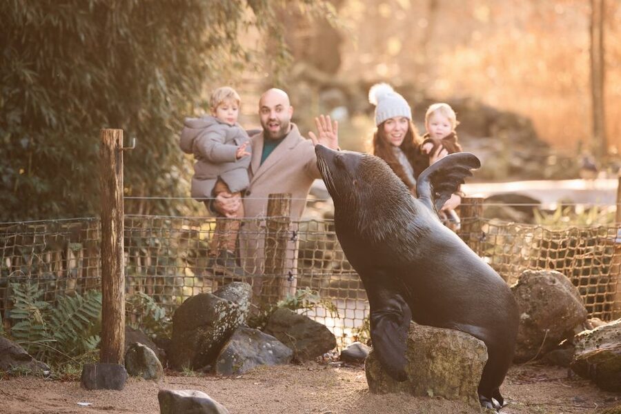 Leewarden: AquaZoo Entry Ticket - Aquariums and fish enclosures: keep expectations flexible