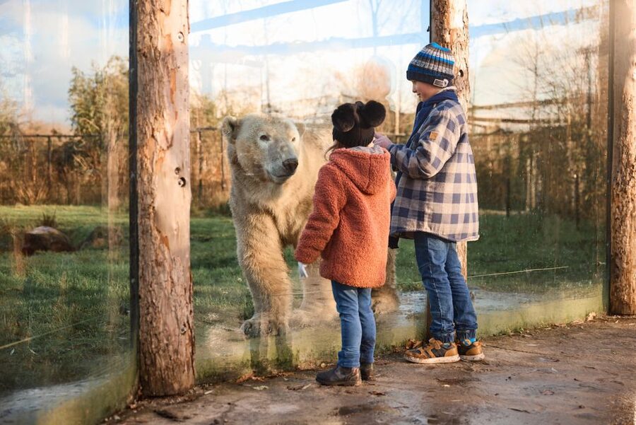 Leewarden: AquaZoo Entry Ticket - How to plan your 1 day ticket for the smoothest visit