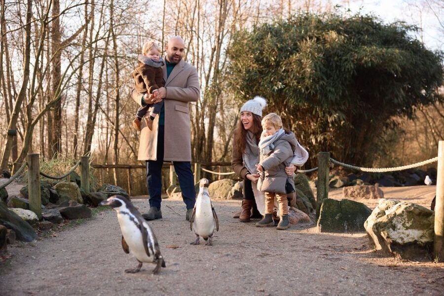 Leewarden: AquaZoo Entry Ticket - What this ticket is best for, and who might feel disappointed