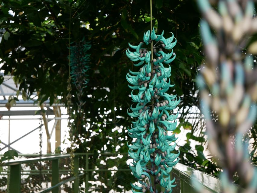 Leiden: Hortus Botanicus Entry Ticket - Why Hortus Botanicus Leiden is more than a basic garden ticket