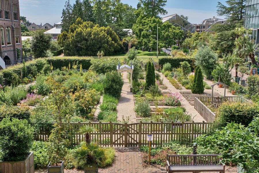 Leiden: Hortus Botanicus Entry Ticket - Carnivorous plants and the seasonal flowers you should plan around