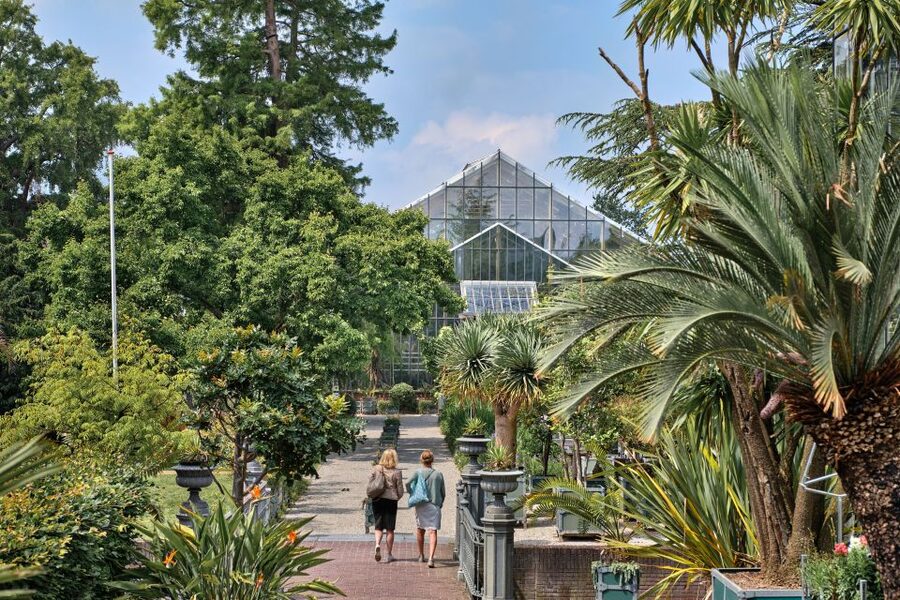 Leiden: Hortus Botanicus Entry Ticket - Stop for souvenirs and the Grand Café before you wrap up