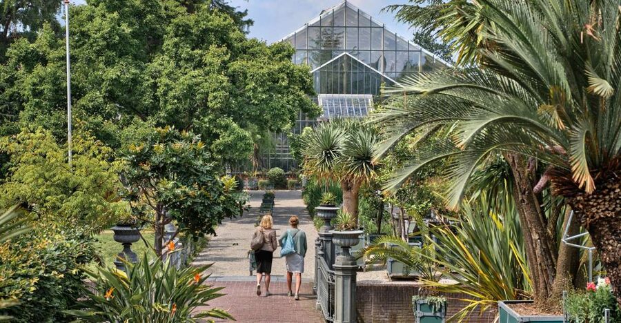 Leiden: Hortus Botanicus Entry Ticket - Price and timing: getting value out of about one and a half hours