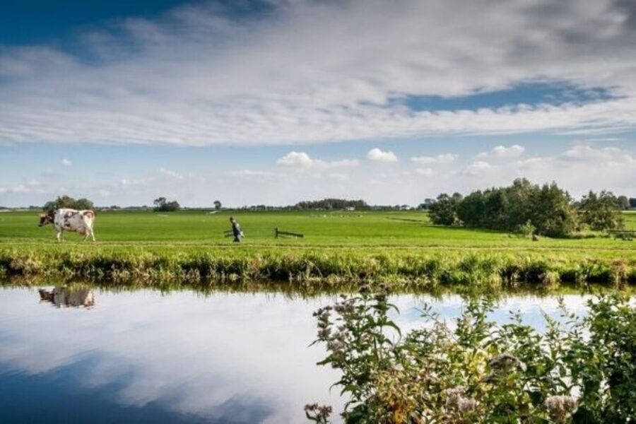 Leiden: Windmill and Countryside Cruise near Keukenhof - Windmills on Kagerplassen: what makes this 1 hour feel special