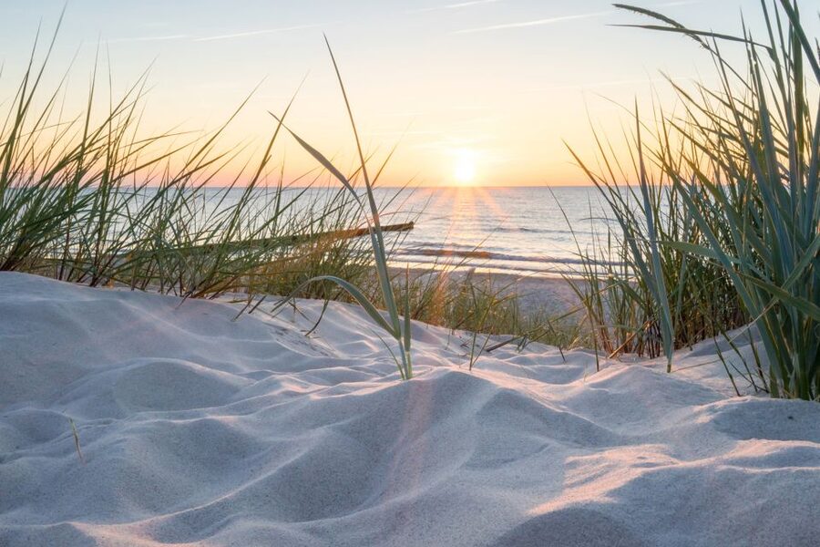 Lisse: Drive-it-Yourself Electric Dune & Beach Audio Tour - Key points to know before you go
