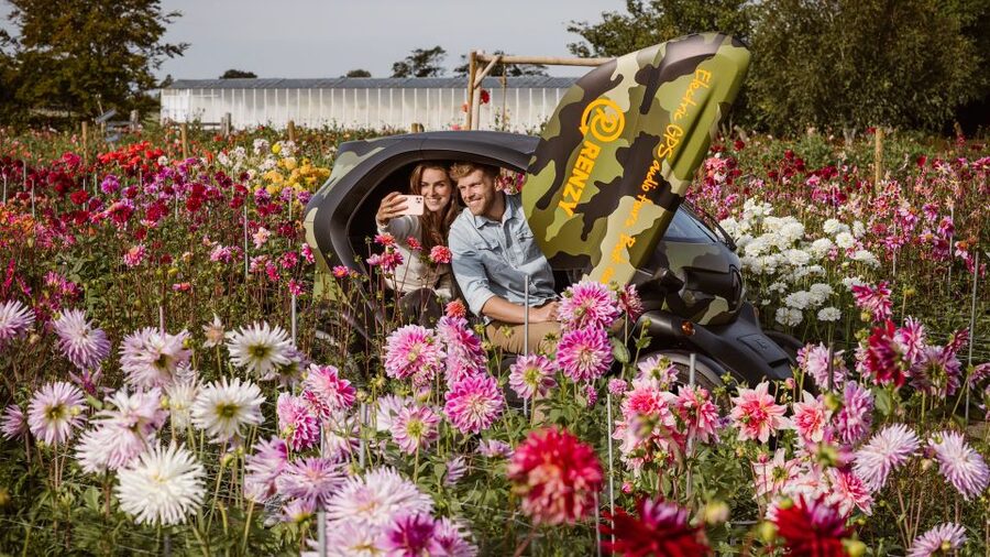 Lisse: Drive-it-Yourself Summer Flower GPS Audio Tour - Key Highlights You Will Actually Feel