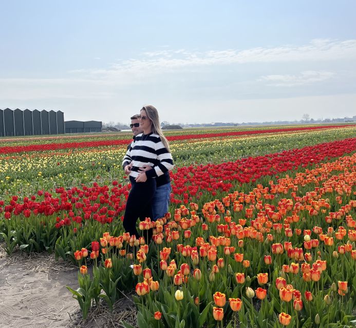 Lisse: Enjoy the Tulip Fields by Bike with a Local Guide! - Biking alongside Keukenhof: 7 million bulbs, but know what’s included