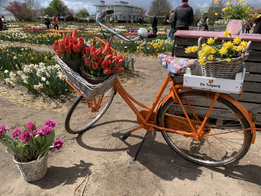 Lisse: Enjoy the Tulip Fields by Bike with a Local Guide! - Pace, comfort, and who should choose this bike tour