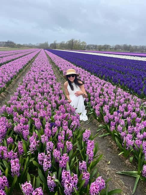 Lisse: Private Tulip Fields Tour with a Local Guide 1h Tour - Key things that make this tour worth your time