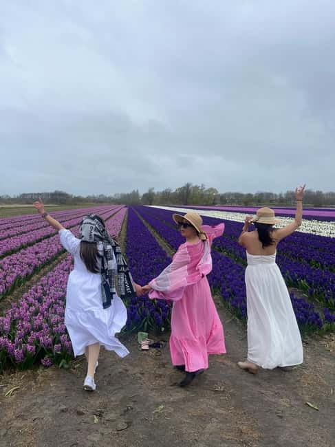 Lisse: Private Tulip Fields Tour with a Local Guide 1h Tour - The 10-Minute Van Ride That Helps You Start Calm