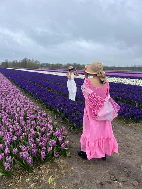 Lisse: Private Tulip Fields Tour with a Local Guide 1h Tour - Weather Reality in South Holland, and How to Prepare