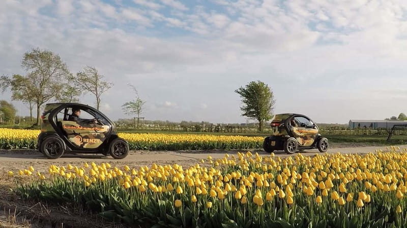 Lisse: Self-Guided Tulip Fields GPS Audio Tour - Key highlights worth planning around