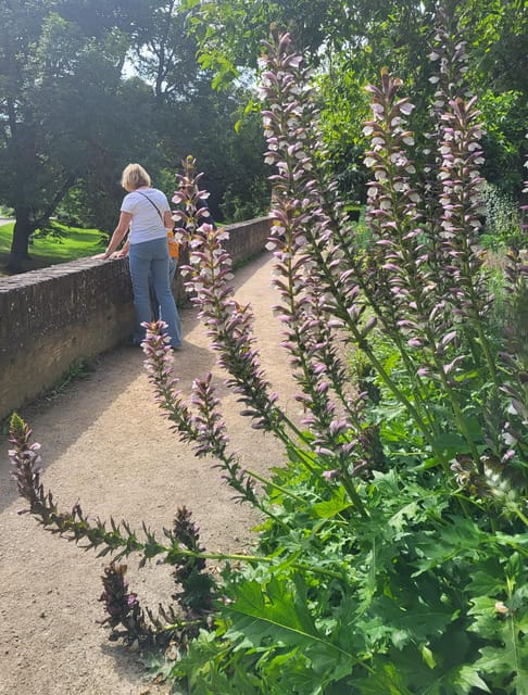 Maastricht Hidden Gems Tour Uncover the Unexpected - Key highlights worth your attention
