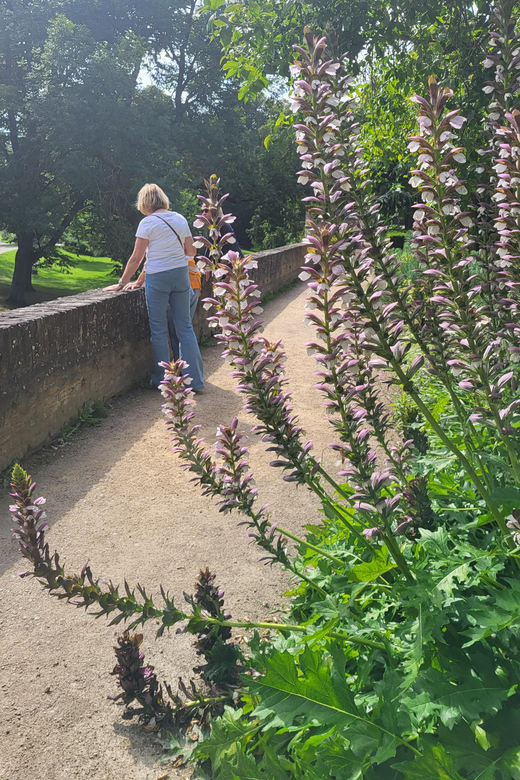 Maastricht Hidden Gems Tour Uncover the Unexpected - Who this tour fits best (and who might want something else)