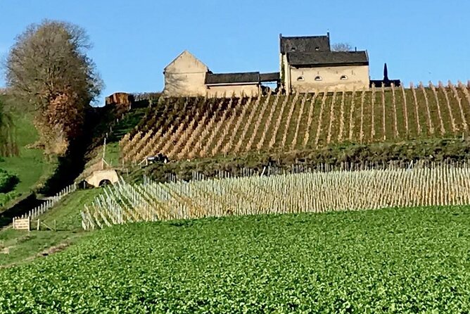 Maastricht Privat Sightseeing City Walk - Price and group size: when $132.75 feels like a bargain