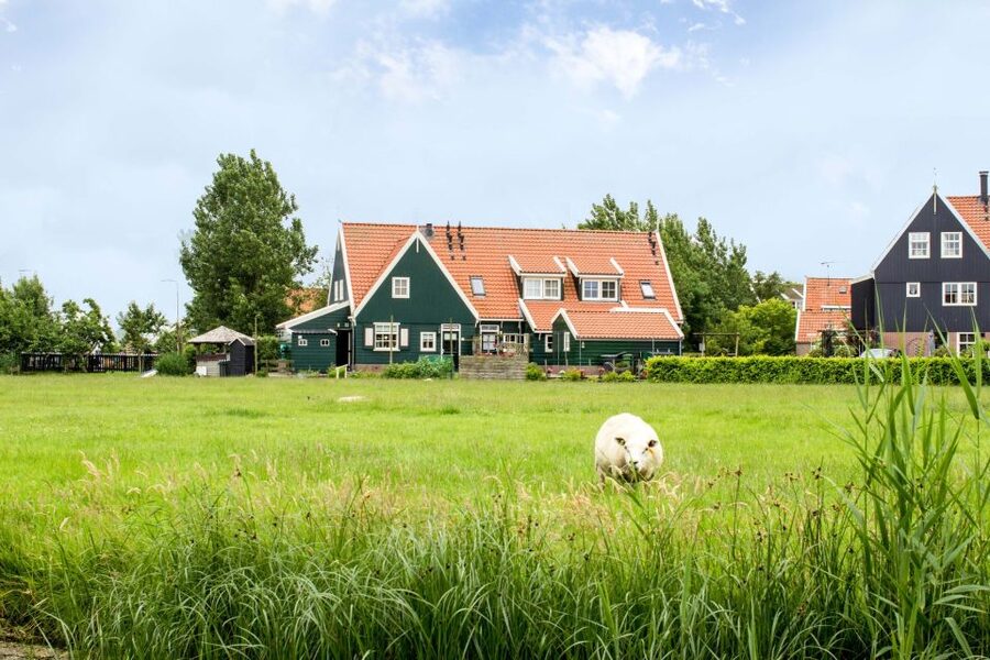 Marken, Volendam and Edam: Private Full-Day Tour - Edam: former town hall, floating cellar, and the oldest wooden house