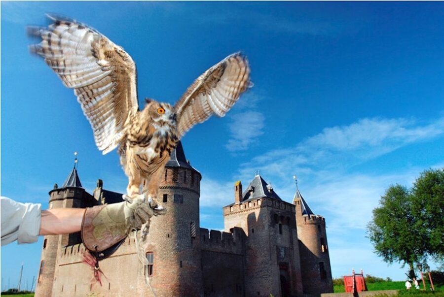 Muiden: Entry Ticket to Muiderslot Castle - Key things to know before you go