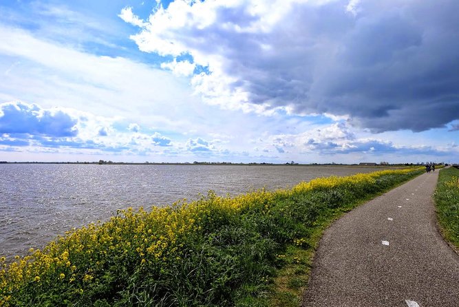 Off the Beaten Paths Dutch Landscape Private Tour 1/2 day Jaguar - Price and value: what you get for $541.85