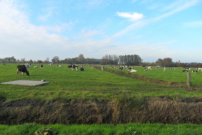 Off the Beaten Paths Dutch Landscape Private Tour 1/2 day Jaguar - Who should book this, and who might want a different day