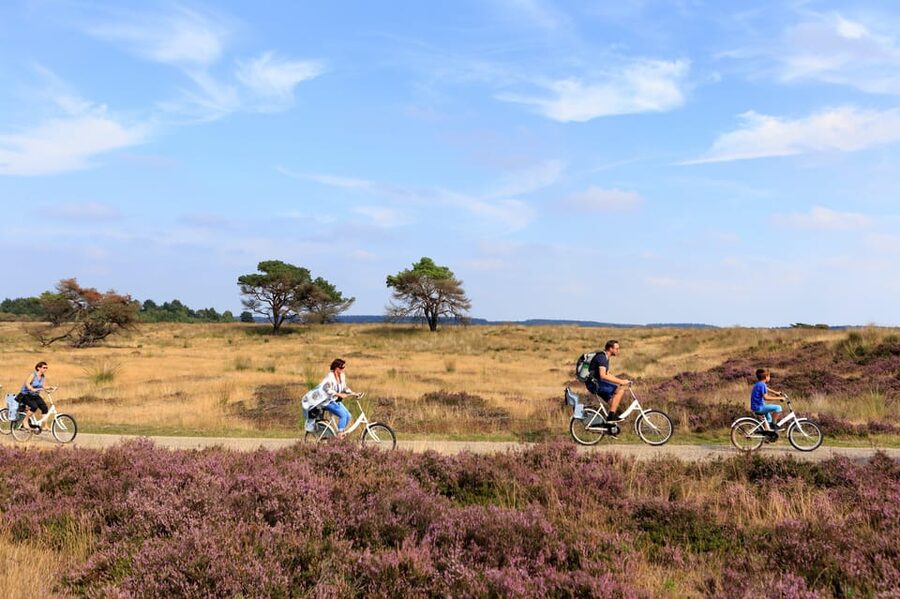 Otterlo: De Hoge Veluwe National Park Entry Ticket - Should you book the Otterlo entry ticket?