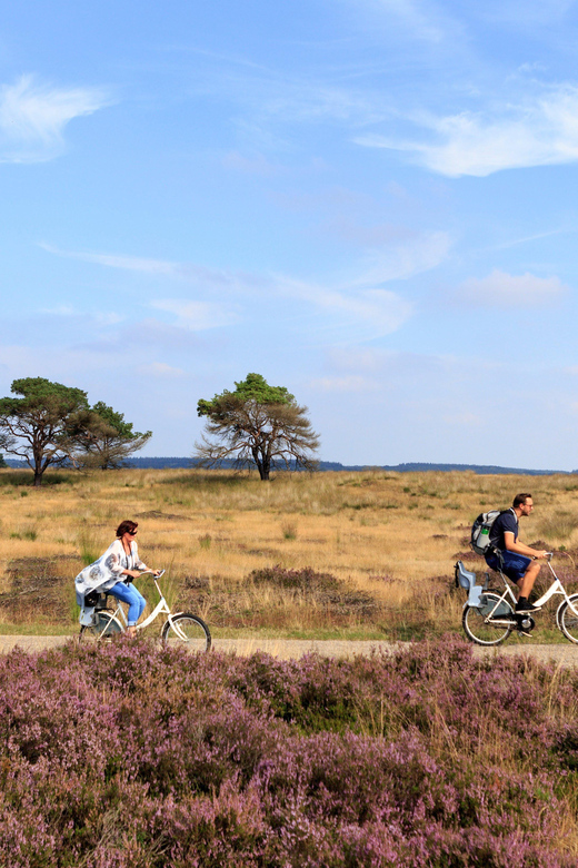 Otterlo: De Hoge Veluwe National Park Entry Ticket - Who this fits best, and who should rethink it