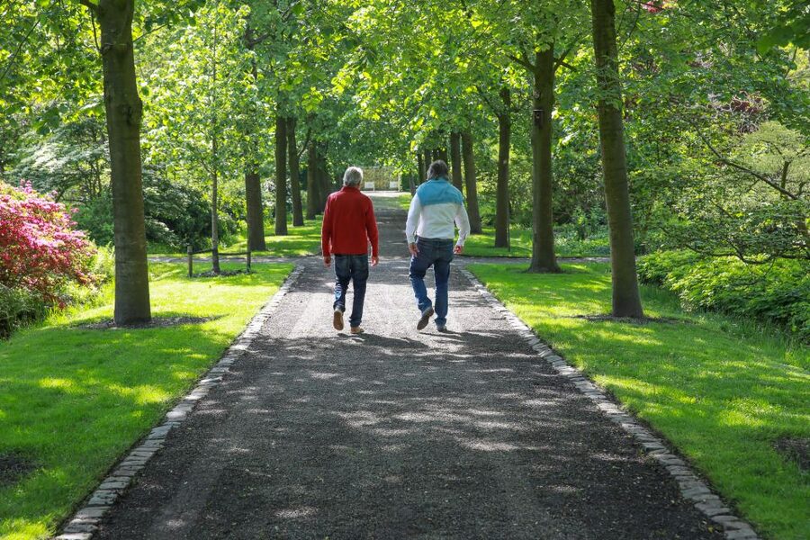 Oudenbosch: Guided City Walk - Key highlights you will notice right away