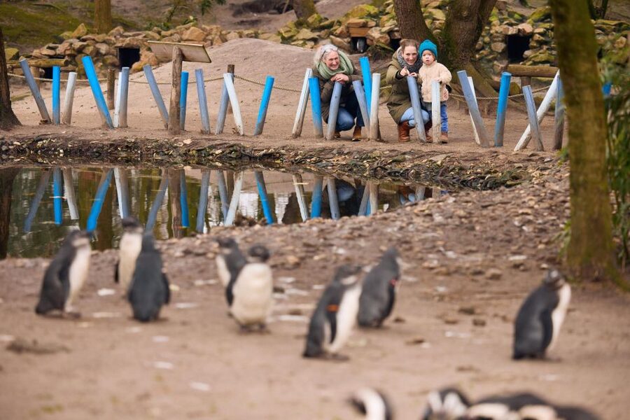 Overloon: ZooParc Entrance Ticket - Key highlights to zero in on