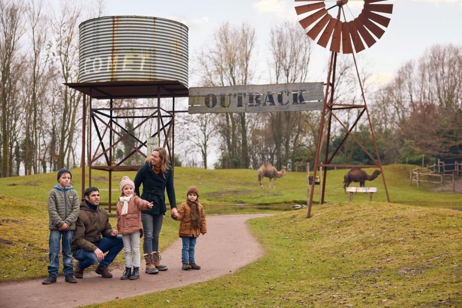 Overloon: ZooParc Entrance Ticket - Madidi: finishing with South American wildlife, plus breaks for energy