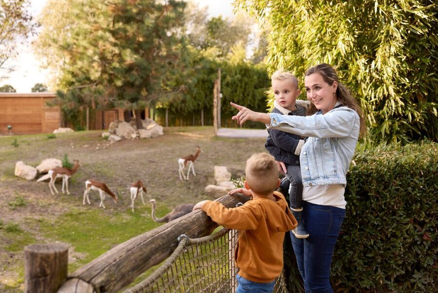 Overloon: ZooParc Entrance Ticket - Itampolo: ring-tailed lemurs with Greek tortoises and giant pelicans