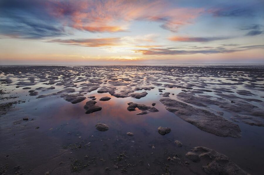 Pieterburen: Wadden Sea Mudflats Guided Walking Tour - Why the Wadden Sea mudflats near Pieterburen are so special