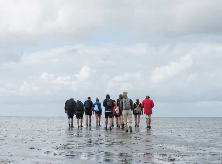 Pieterburen: Wadden Sea Mudflats Guided Walking Tour - The 8 km mudflat walk: Noordpolder and Zijltocht canals along the way