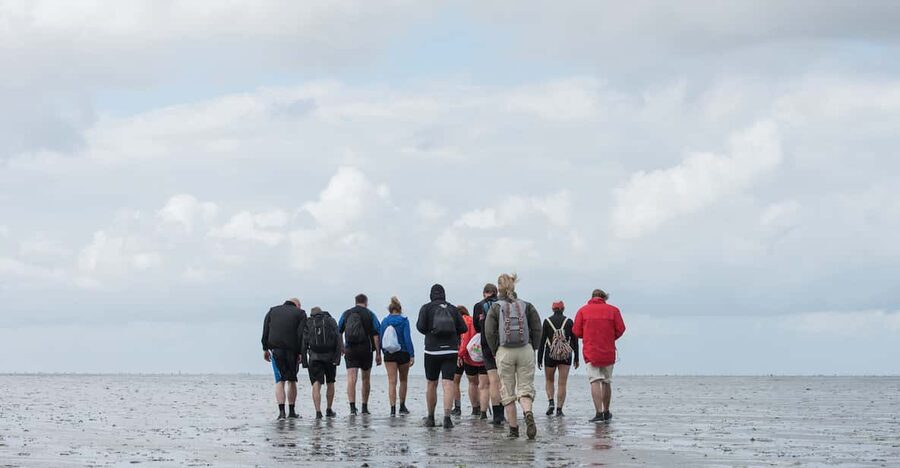 Pieterburen: Wadden Sea Mudflats Guided Walking Tour - Who should do this 14-dollar walk, and who should skip it