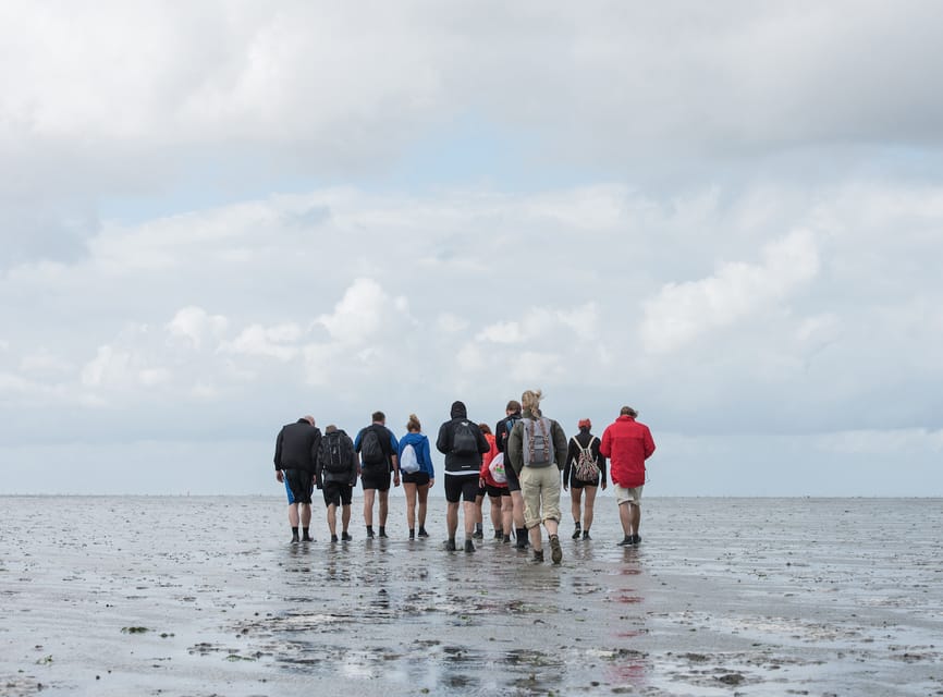 Pieterburen: Wadden Sea Mudflats Guided Walking Tour - Getting started at Dijkstra’s Seawall meeting point in Westernieland