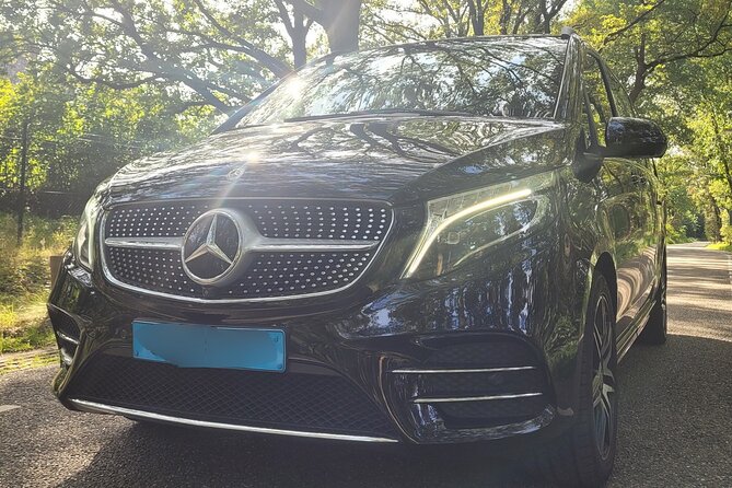 Private Arrival Transfer: Schiphol Airport Amsterdam - Meet your driver at Schiphol, not at the taxi stand
