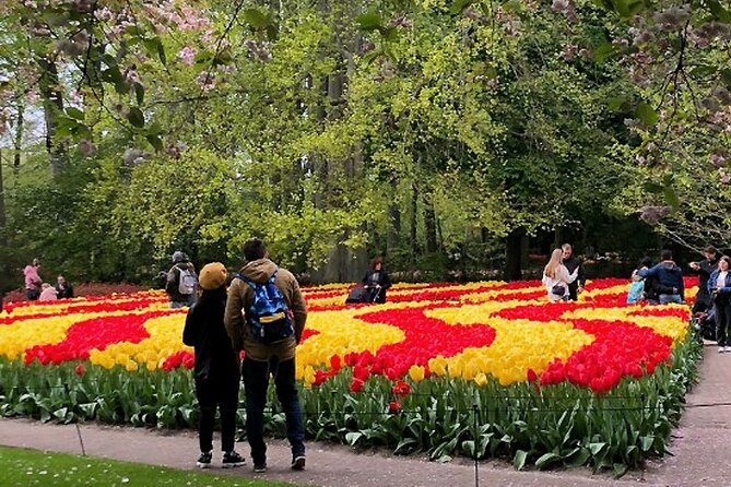 Private Day Tour to Keukenhof Gardens - from Amsterdam/Rotterdam - Price and What You Actually Get for About $23