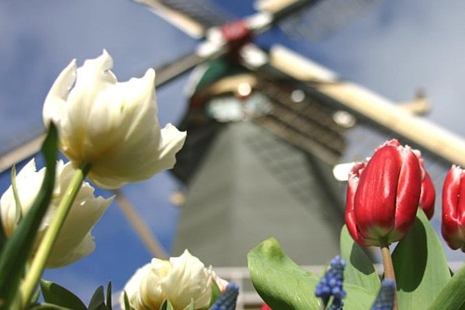 Private Day Tour to Keukenhof Gardens - from Amsterdam/Rotterdam - On the Road to Keukenhof: How the Flower Fields Stop Works