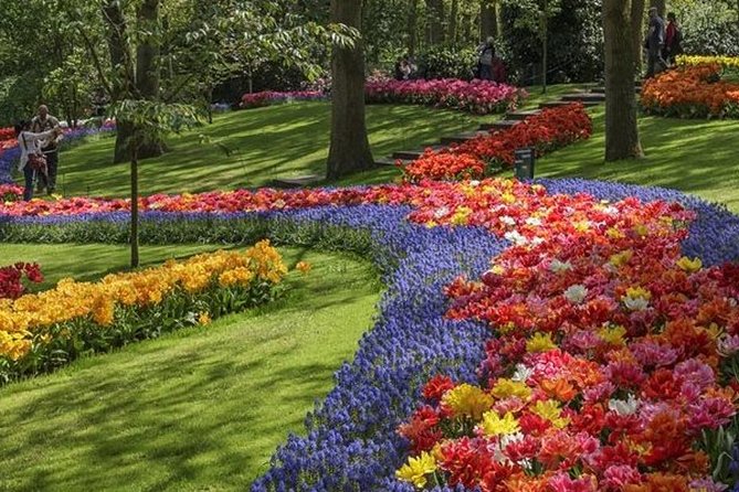 Private Day Tour to Keukenhof Gardens - from Amsterdam/Rotterdam - Weather Reality: What to Expect When Spring Turns Wet