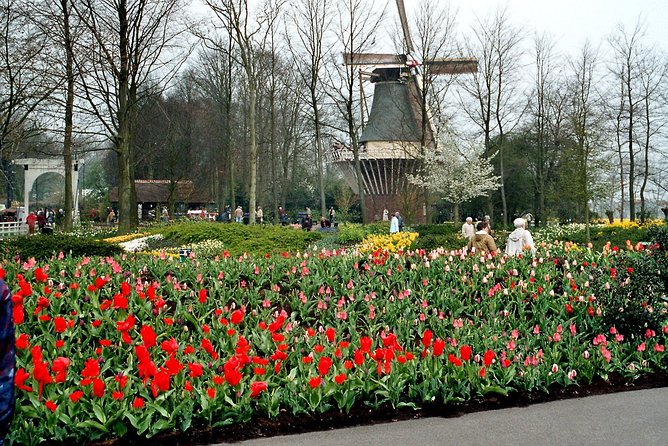 Private Day Trip from Amsterdam to Keukenhof with Entrance Tickets - Queue-Jump Tickets at Keukenhof, and How to Use the Time