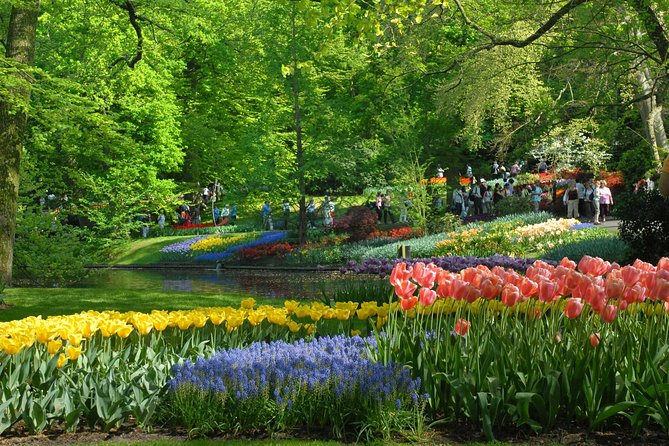 Private Day Trip from Amsterdam to Keukenhof with Entrance Tickets - Weather Matters More Than You Think