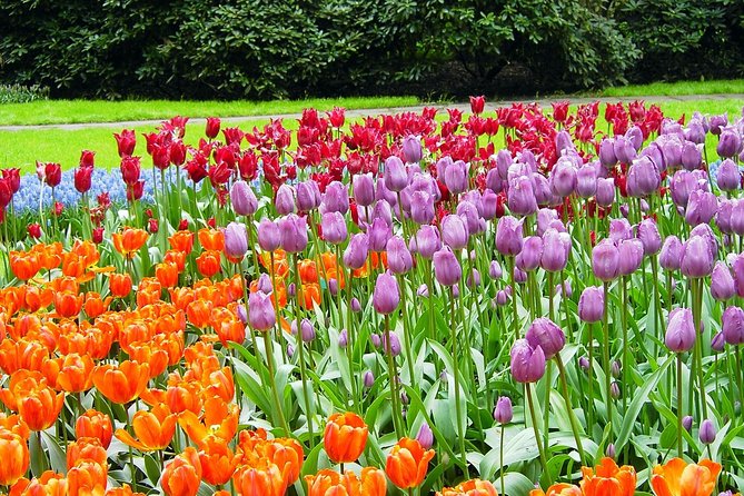 Private Day Trip from Amsterdam to Keukenhof with Entrance Tickets - Hotel Pickup Changes Your Whole Day (In a Good Way)