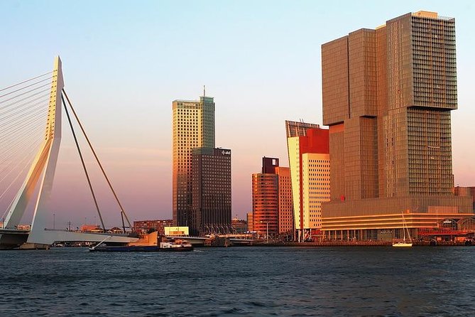 Private Day Trip from Amsterdam to Rotterdam and the Hague - Rotterdam Icons: Erasmus Bridge and the Cube Houses