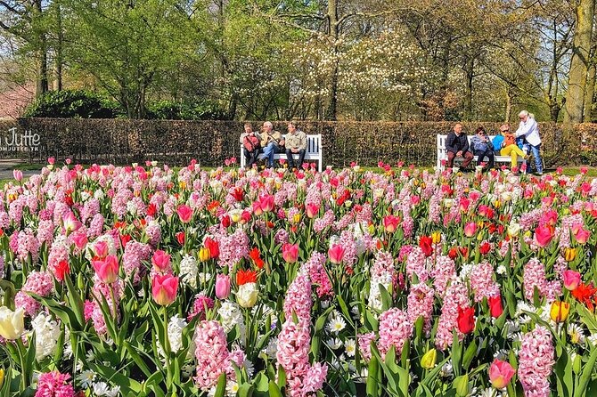 Private Day Trip to Keukenhof Gardens with Entrance Tickets - A Private Keukenhof Day That Feels Less Like a Script