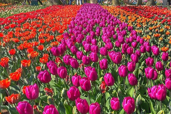 Private Day Trip to Keukenhof Gardens with Entrance Tickets - Price and Value: What $425.85 per Person Buys You