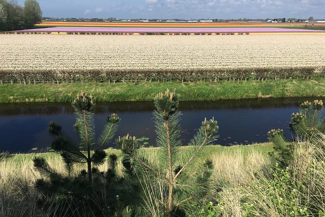 Private daytour from Amsterdam into the Countryside - Timing, Comfort, and What a 7 to 8 Hour Day Really Means