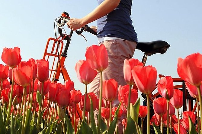 Private Guided Full-Day Customizable Tour of Holland from Amsterdam - Engineering, dam history, and family roots that make the day personal
