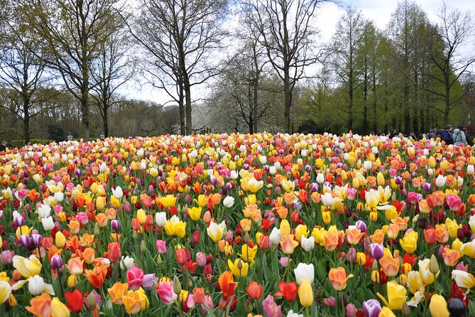 Private Guided Keukenhof Gardens and Zaanse Schans Tour - Why this private Keukenhof and windmills day feels worth it