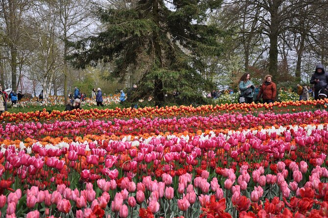 Private Guided Keukenhof Gardens and Zaanse Schans Tour - Keukenhof gardens: how to spend two hours without feeling rushed